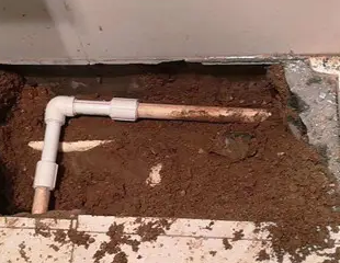 钢城测漏水哪家好