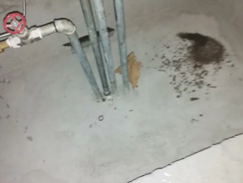 钢城卫生间测漏水价格明细