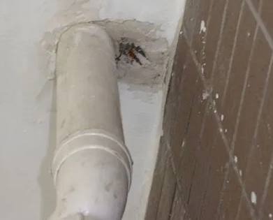 钢城漏水检测哪家好